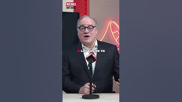 The Future: Humanoid Robots Replacing Real Companions