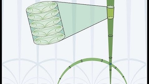 AMR-RMA Anna Wienhard Lecture