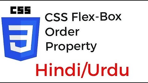 CSS Flex Box with order Property in Hindi Urdu