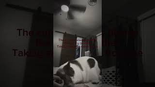 I want her back…. NO SHE DIDNT DIE! @xo_itz_bubblez_ox @ainsley-heckyeabro ​⁠