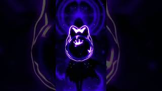 Montagem Supersonic Ultra Slowed