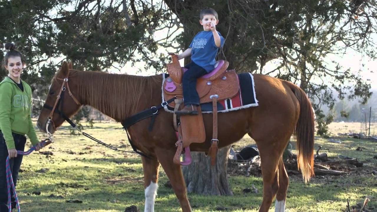 Horse for sale Ardmore Oklahoma YouTube