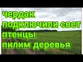 Подключили свет, проверяем чердак, убираем участок. Жизнь в деревне.