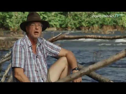 EXPEDITION FRENCH GUIAANA (Trailer 02)