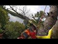 STIHL MSA 200C-BQ Speedline Rigging!