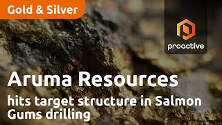 Aruma Resources hits target structure in Salmon Gums drilling