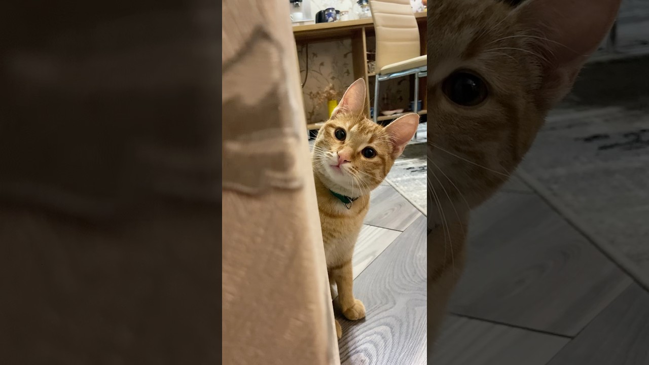 🎗️04.02.2026🎗️