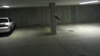 Raptor.wmv