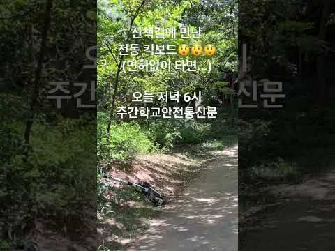 전동킥보드 면허없이 타다 사고라도 나면…(12대 중과실😲😲😲)