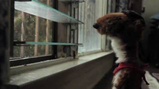 REEL - Philip Hodges [HD]