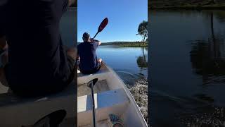 House for sale32 acres land, 1bed house, development potential #lakebarambah #moffatdale #queensland