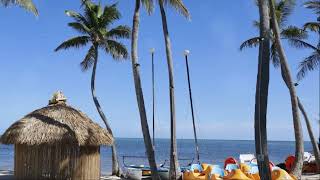 Unveil the Elegance of Cheeca Lodge & Spa, Islamorada, Florida