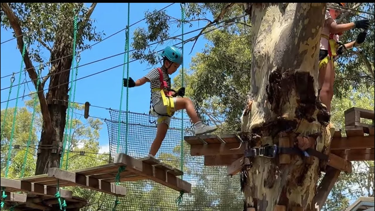 Treetops Adventure Western Sydney