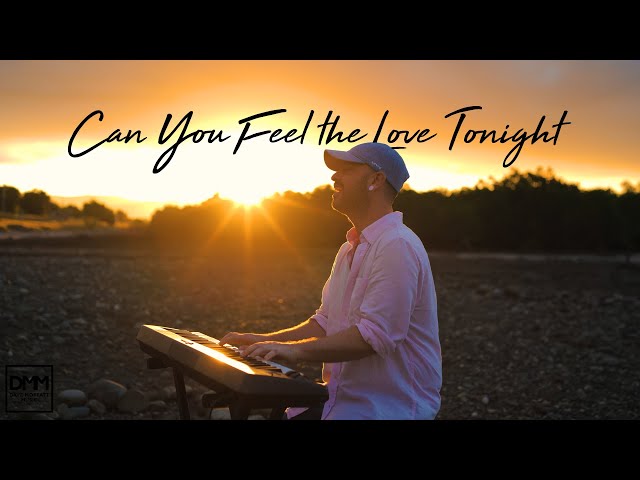 Can You Feel the Love Tonight - Elton John (Dave Moffatt cover) class=