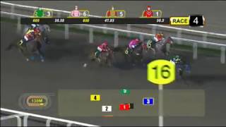 20170818 Singapore racing Race 4