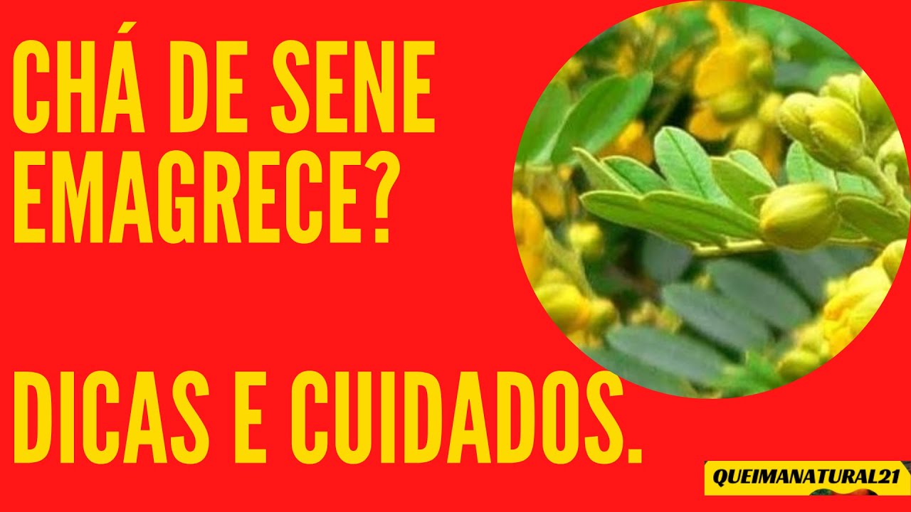 Cha De Sene Emagrece Mitos E Verdades Do Cha De Sene Youtube Cha De Sene Emagrece Cha De Sene Emagrecer