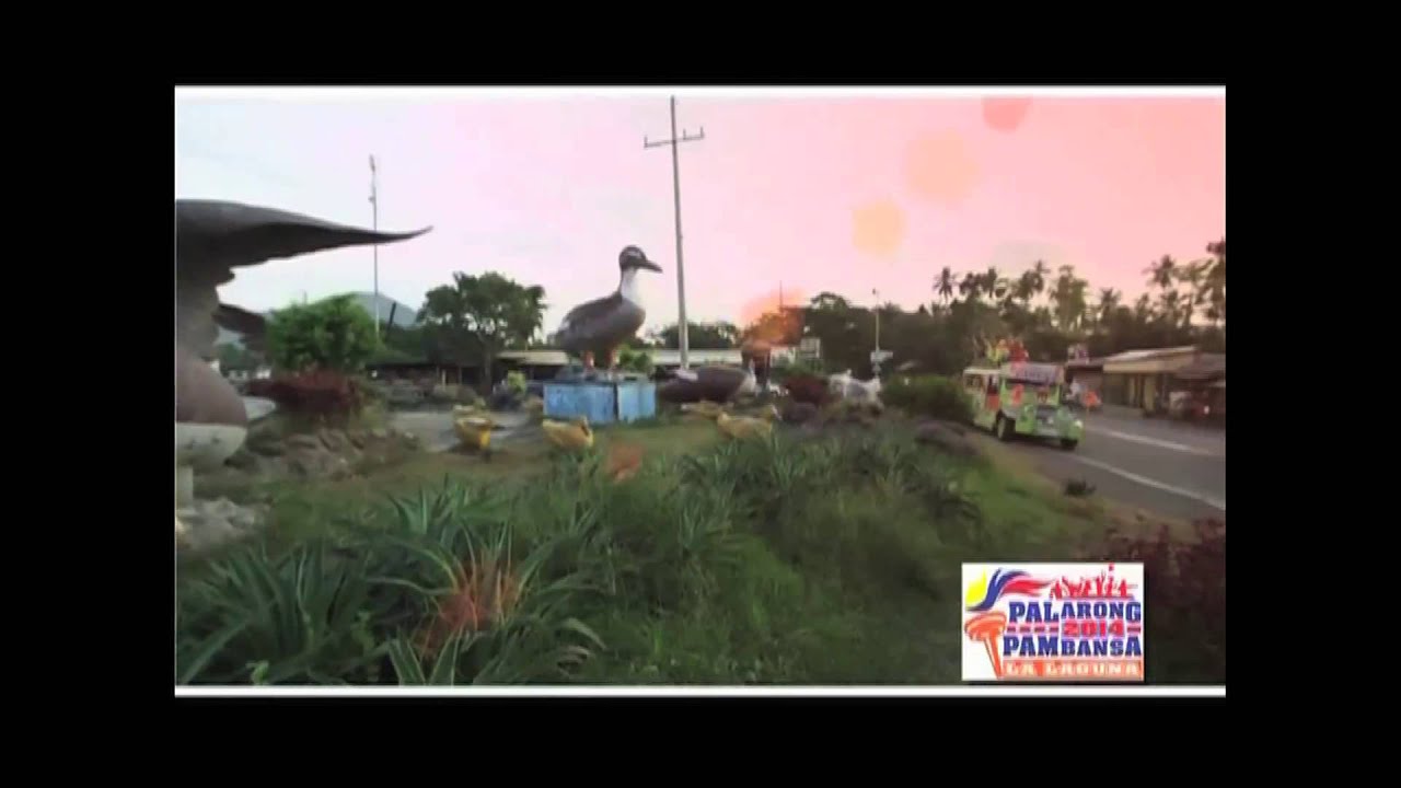Palarong Pambansa 2014 La Laguna - YouTube