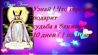 Узнай, что хорошее подарит судьба в ближайшие 10 дней!Гадание на картах Таро .