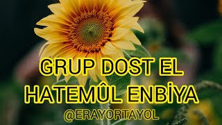 Grup dost el - hatemûl enbiya Resimi