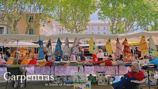 Morning farmers market in Carpentras, south of France / restaurant / strawberry / white asparagus / screenshot 5