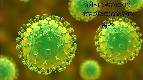 Nipah virus how to transmitt signs and symptoms how to prevent(നിപ വൈറസ് അറിയേണ്ടതെല്ലാം )