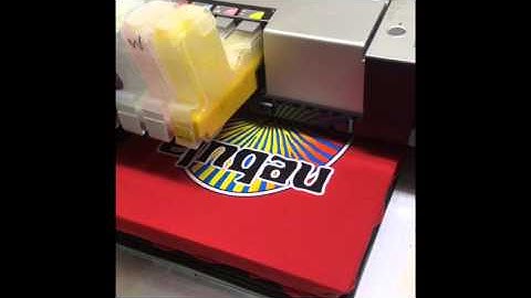 Epson 3800 DTG diy 2