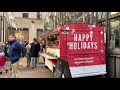 Rockefeller Center Christmas Tree