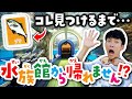 日本最古の水族館！魚津水族館が100倍楽しめる解説ツアー🐟🦈