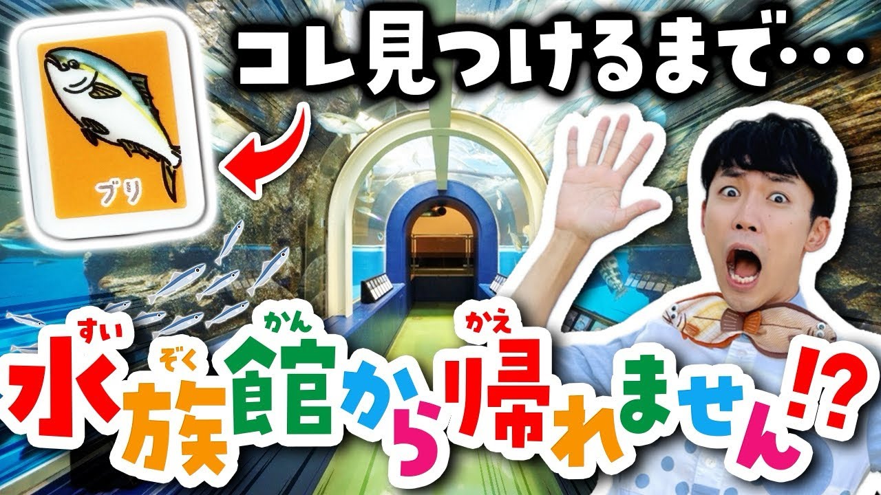 日本最古の水族館！魚津水族館が100倍楽しめる解説ツアー🐟🦈