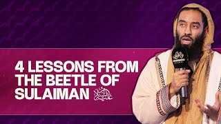 Four Lessons from the Beetle of Sulaiman - Sh. Abu Taymiyyah | Light Upon Light - Eman Channel