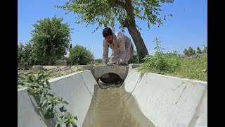 A New Irrigation Canal Reduces Poverty Among Rural Afghans