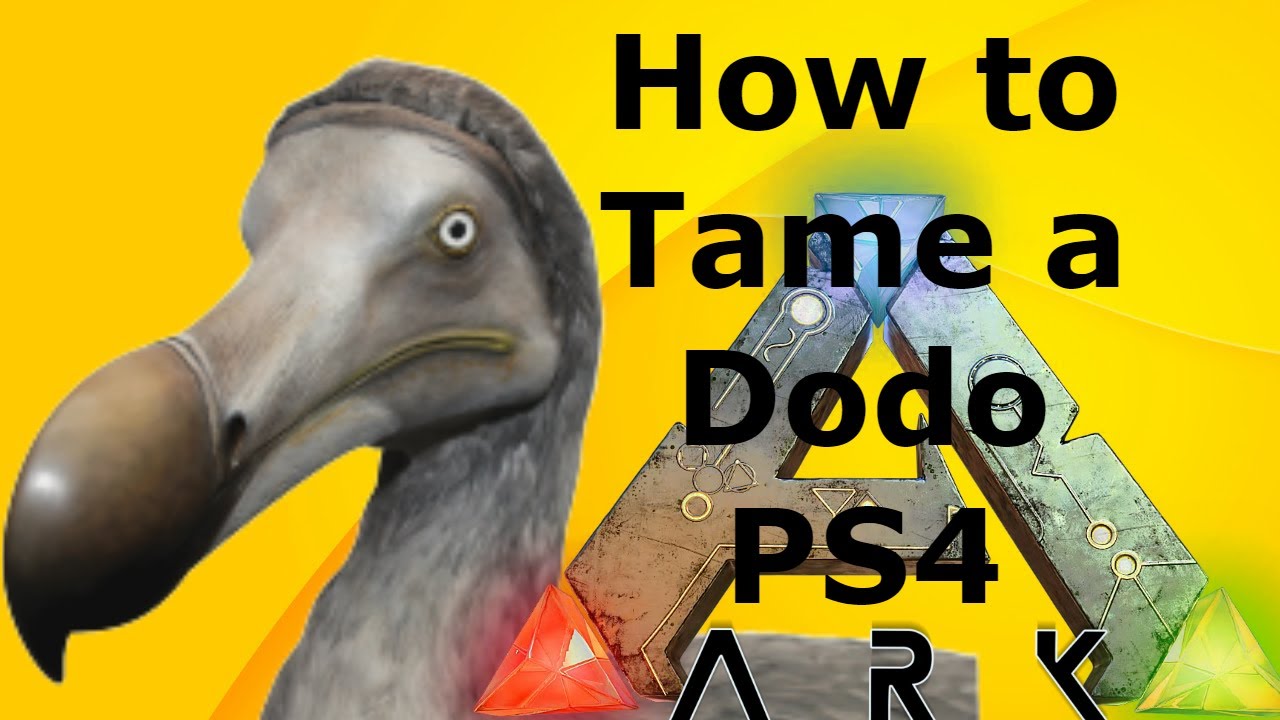 ark taming dodo ark taming dodo