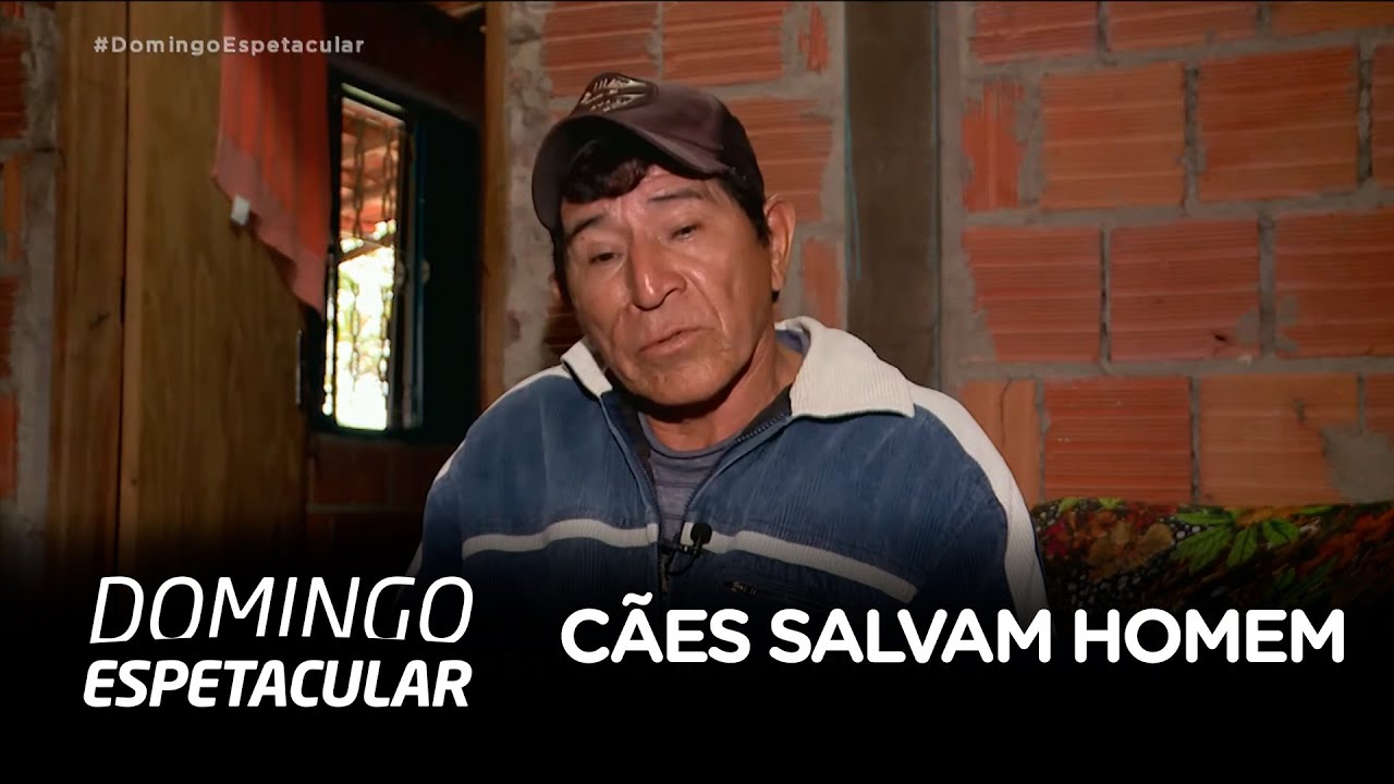 Cães ajudam a salvar homem atacado por onça no Pantanal