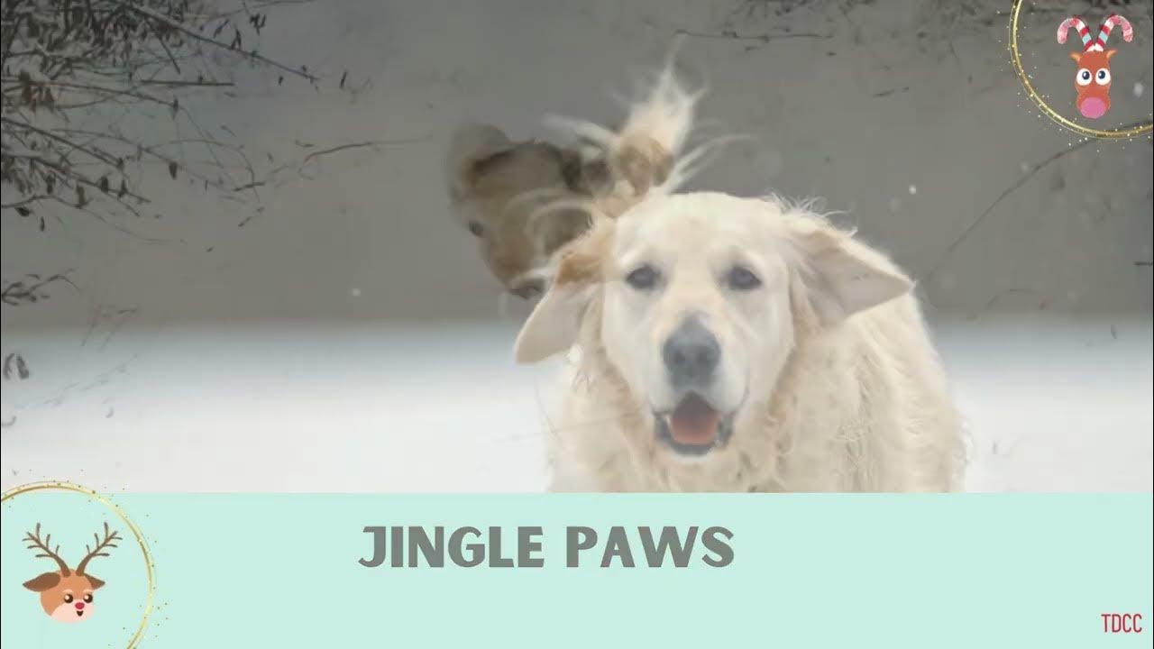 Dogs Barking Jingle Bells (TDCC Version) YouTube