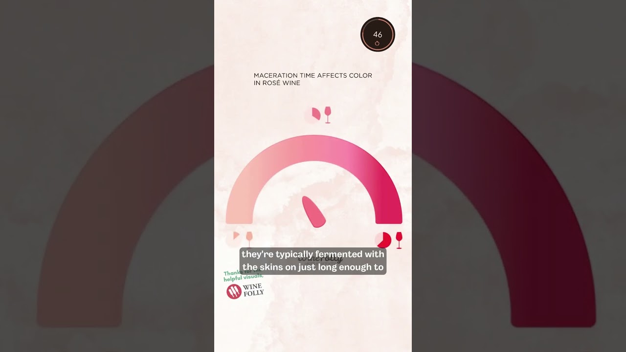 WSET Level 1 in Under 60 Seconds