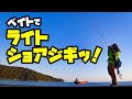 夕マヅメにふらっとライトベイトショアジギングに行ってきたら…