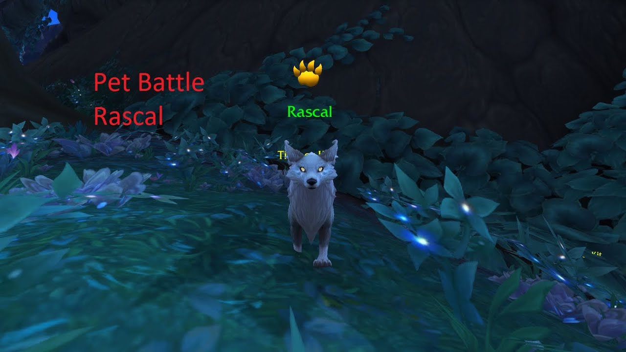 World of Warcraft Shadowland Pet Battle Rascal YouTube