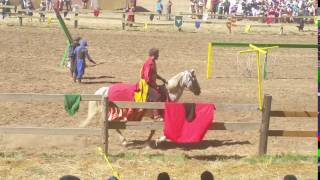 Shrewsbury Renaissance Faire Joust, Part 1