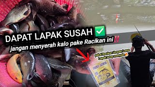 NYESEL BANGET BARU TAU RACIKAN UMPAN IKAN MAS LOMBA INI SEKARANG‼️