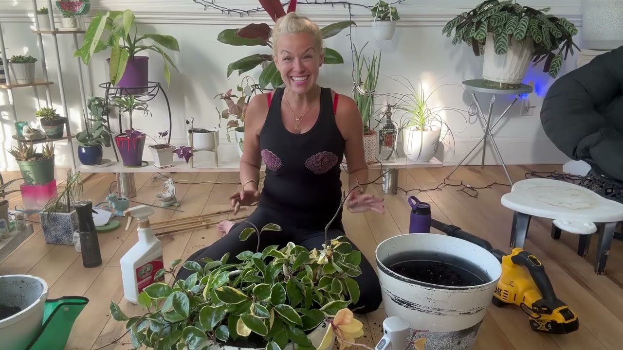 HUGE Crimson Queen Repotting: Soil, Pot, Trellis 😪