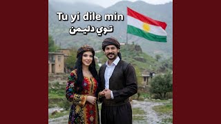 Tu Yi Dile Min - توي دليمن
