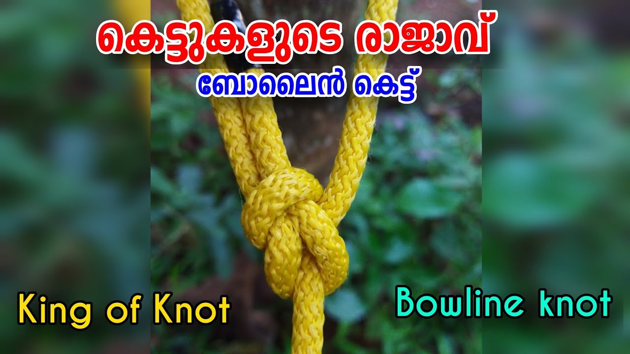 കെട്ടുകളുടെ രാജാവ് | King of knot | Bowline knot  