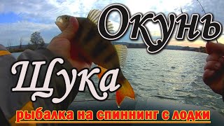 Ловля щуки и окуня с лодки