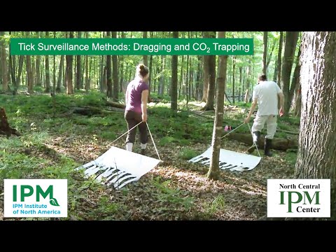 Tick Surveillance Methods: Dragging and CO2 Trapping