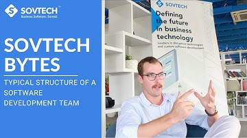 What is the structure of a software development team?