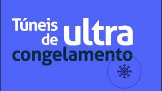 Túnel De Congelamento Contínuo Trv - Engeultra