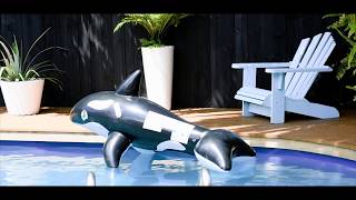 Open2view NZ - ID# 433150 - 23 Tainui Street