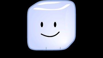 ULTIMATE  BFB VIEWER VOTING EPISODE 9!