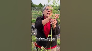 Comment COOL and I’ll DM the link