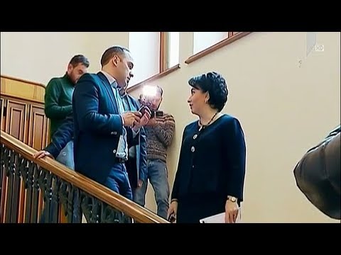 ეკა ბესელიას კანონპროექტი პარლამენტში ინიცირებულია